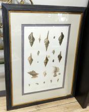 LARGE FRAMED BOOKPLATE