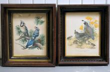 ANTIQUE FRAMES