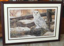 FRAMED LIMITED EDITION "SNOWY OWL" PRINT