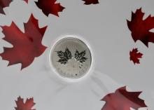 CANADIAN FINE SILVER COINS