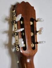 RENAISSANCE GUITAR