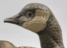 POOLE POTTERY CANADA GOOSE