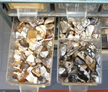 FOUR CASES OF MINERAL STONES