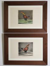 ROOSTER PRINTS