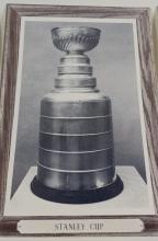 1964-67 BEEHIVE HOCKEY "TROPHY" WOODGRAIN PHOTO CARDS