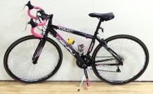 LADIES' DENALI BICYCLE