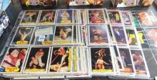 WRESTLING ACTION FIGURES & CARDS