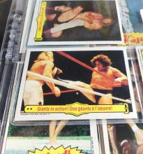 WRESTLING ACTION FIGURES & CARDS