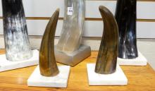 FIVE HORN SCULPTURES