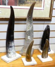 FIVE HORN SCULPTURES