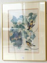 ANTIQUE "INSECTS AND BIRDS" CHART AND PAIR OF PRINTS