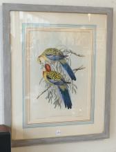 PAIR OF VINTAGE "PARROT" PRINTS