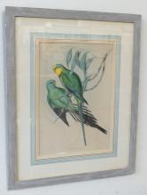 PAIR OF VINTAGE "PARROT" PRINTS