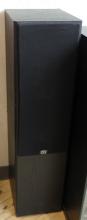 ELECTRONIC COMPONENTS IN CABINET AND PAIR OF TOWER SPEAKERS
