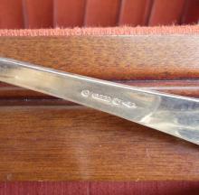 GERO ROESTVRIJ SILVERPLATE FLATWARE