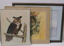 OWL PRINTS
