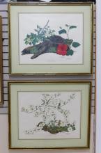 THREE FRAMED "BOTANICAL" PRINTS
