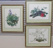 THREE FRAMED "BOTANICAL" PRINTS